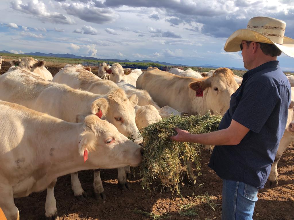 WhatsApp Image 2023-02-11 at 9.43.03 AM (1)