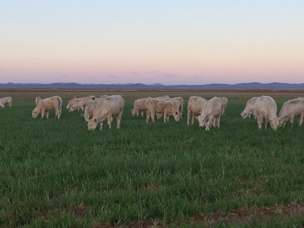 WhatsApp Image 2023-02-13 at 7.06.10 PM