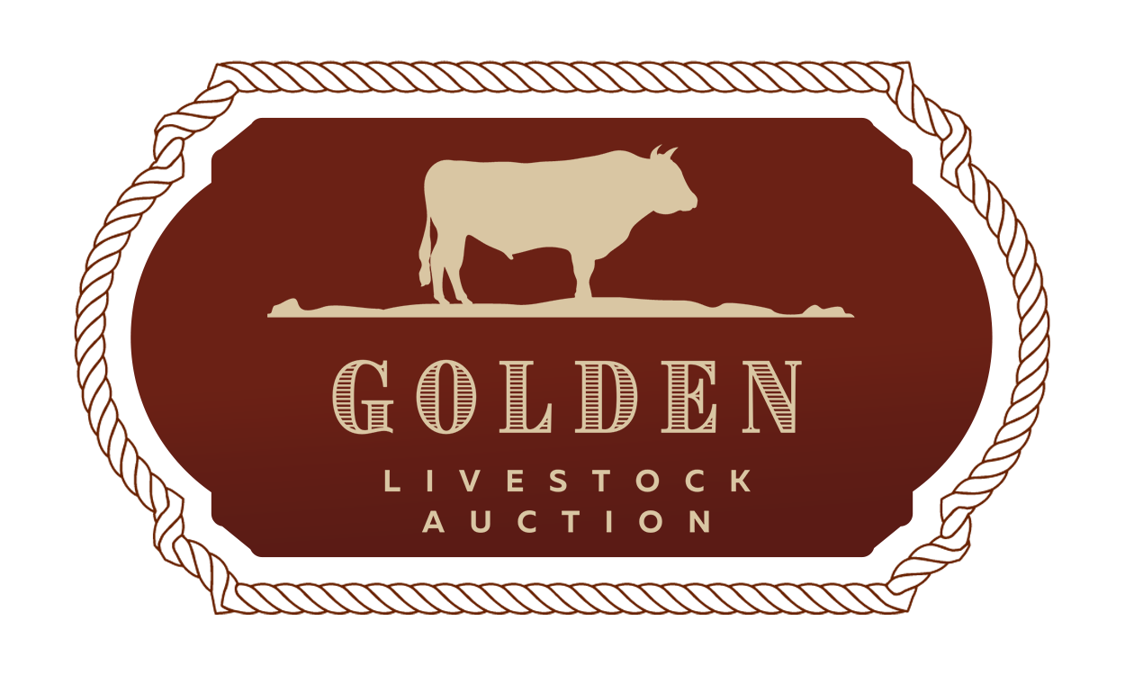 Golden Livestock